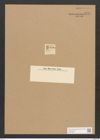 Surirella cocconeis Ehr. (de-Toni-Nr.: Genus 53, Species 2332) Zeichnungen Sammlung Grunow Nr. 4771 (NHMW-BOT-W0372895)